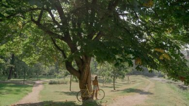girl standing next to bicycle and tree