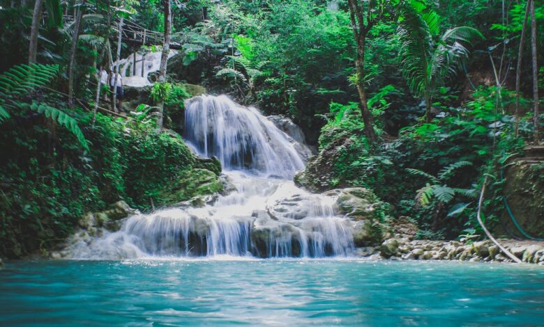 photography of waterfalls between trees